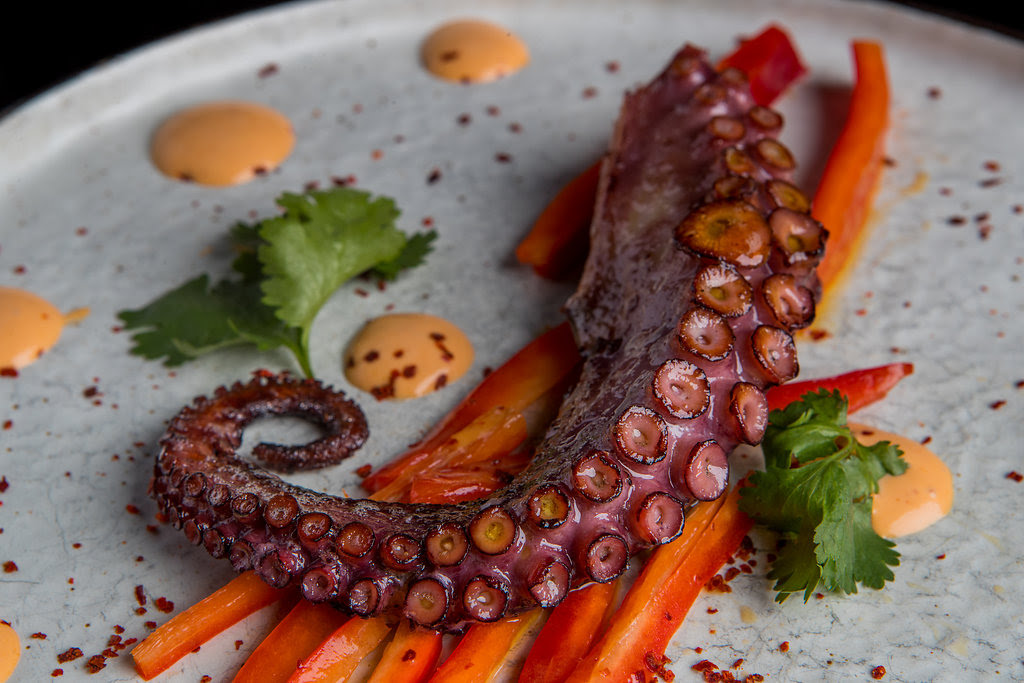 Koy Restaurant Boston by null