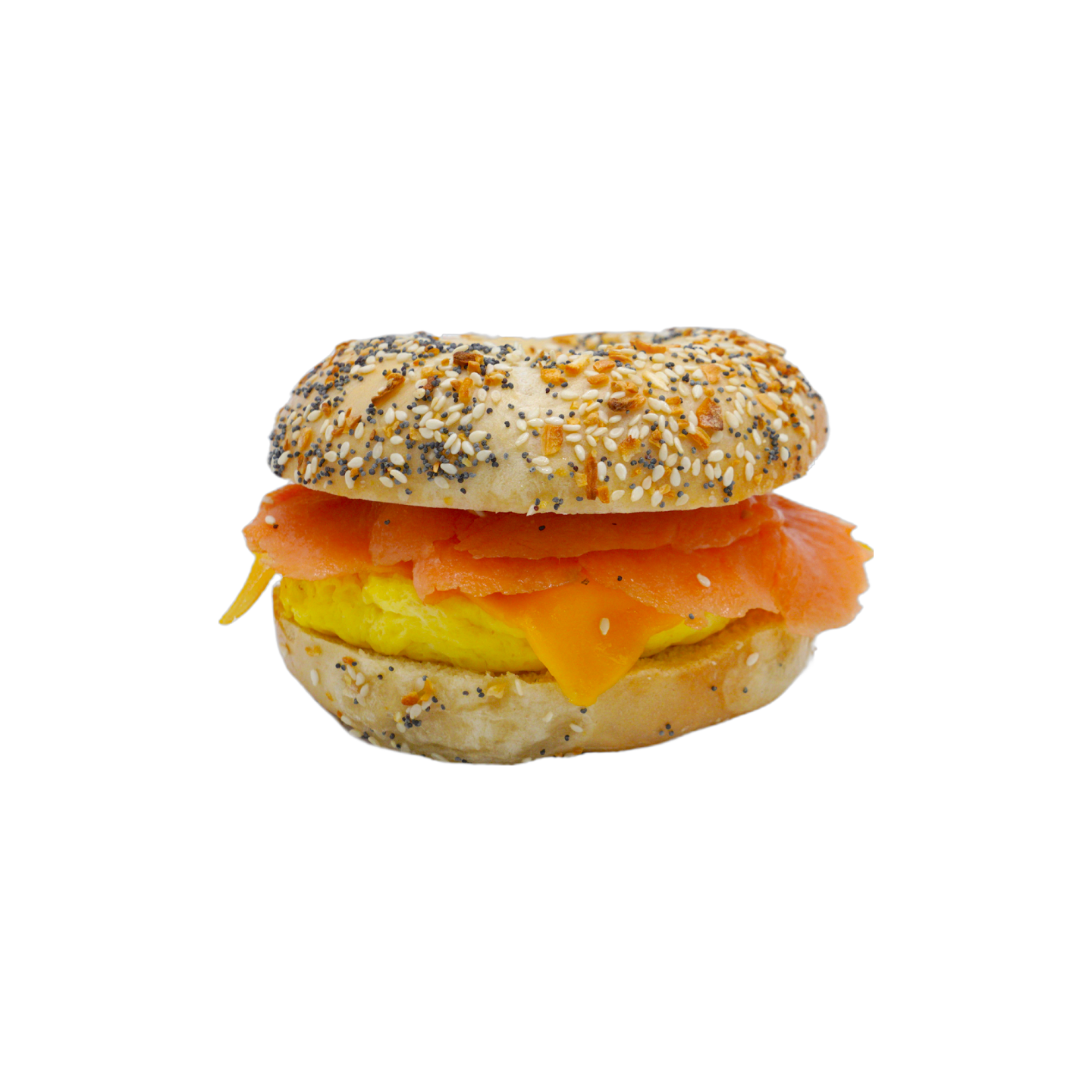 House of Bagels by null