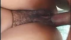 Exotic ebony  hairy jpg x Black ebony hairy