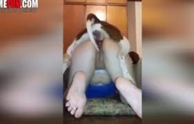 Dog fuck woman porn fuck woman dog fuck girl videos eporner jpg x Dog fuck pussy