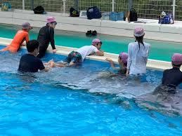 女子 水泳 六年生|今日から高岡スイミングクラブC班の新体制スタート🏊‍♂️ 小学2年生~6年生。 男子6人女子10人の16人。 16人の選手と共に勝負に挑みます！  ※本日3名不在 「水泳って楽しい」から 水泳に没頭してくれた子供たちの気持ちを大切に 全力でサポートして行きます。 強いチームを ...