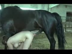 Animal extreme sex porn nasty teen girl tight asshole fucked hard horse jpg x Teen fucked by horse