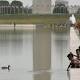 Lincoln Memorial Reflecting Pool to be drained after 80 ducks die 