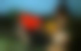 russian mom son porn|Russian Mom Porn (6,681) | FUQ