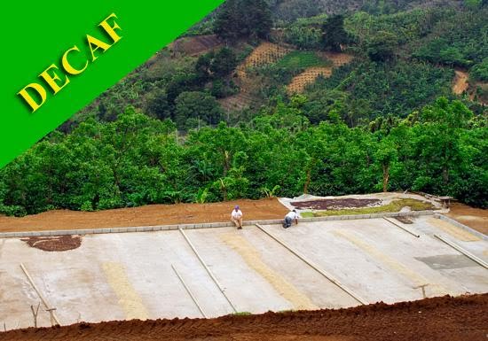 Willoughby's Coffee & Tea by null