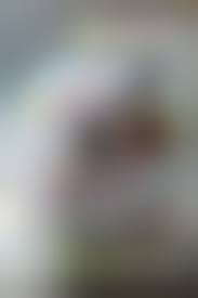 沢井みく ジュニアアイドル|未使用】○正規 未開封 沢井みく 花の妖精 アイドルDVDの落札情報詳細 - Yahoo!オークション落札価格検索 オークフリー