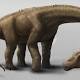New dinosaur species discovered in Argentina