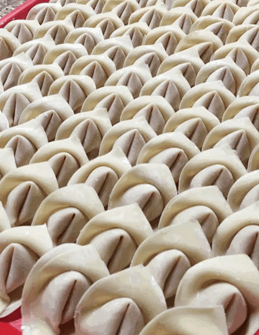 Yummy Dumpling by null