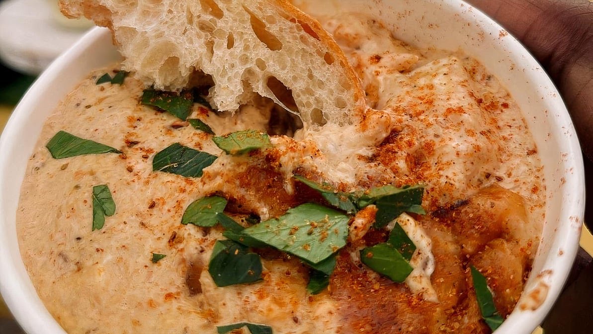 The Marylander by null