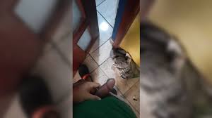 Indian sex jpg x Indian spy sex
