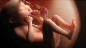 http://t1.gstatic.com/images?q=tbn:ANd9GcQMSrAJHGjtgB7IFC_8lDpzMOWKXlq8khAsK9Q0lOCM0gNEaIM1