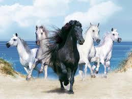 http://t1.gstatic.com/images?q=tbn:ANd9GcQMm-QR8_A2dN7LJ3U6_YlwYIu-QfMhVi1xSTu_zO6lSI_t2sdFAg  