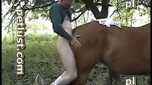 Man fuck horse in some hell fapcat jpg x Fucked by horse