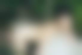 こての　ヌード|温泉】 【完全保存版】セクシー反面教師こての先生による洞窟温泉レポート♨️限定販売 お風呂女子こての/Koteno🛁*。 (こての🛁*。)の 商品｜ファンティア[Fantia]