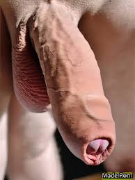 Maij nizdwqqyqy jpg x Naked dick