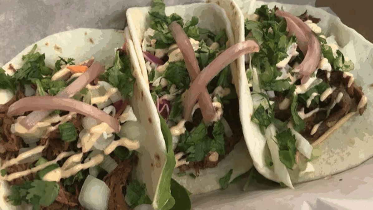 The Blind Pig by null