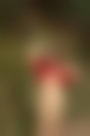 chinese amateur naked|wifebucket-naked-wives-36 – WifeBucket | Offical MILF Blog