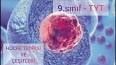 Hücre Teorisi ve Hücre Çeşitleri ile ilgili video