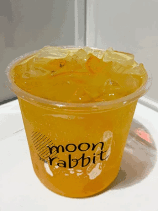 Moon Rabbit by null