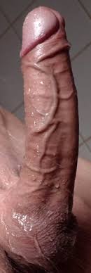 In love with this fat veiny cock jpg x Veiny cock