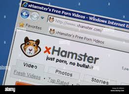 X hamster indian gothic desi porn xhamster jpg x Hamster videos