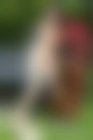 the black alley naked pussy|Sex HD MOBILE Pics The Black Alley Janet Kush Asian Www1x Com