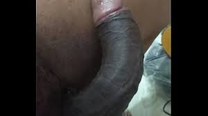 関連の pinto grande porn videos 全部 jpg x Pinto grande