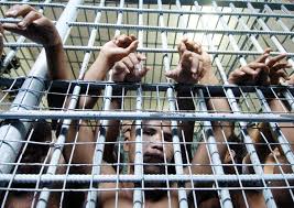 torture|Syria: Mass death, torture and other violations against people detained in  aftermath of Islamic State defeat – new report - Amnesty International