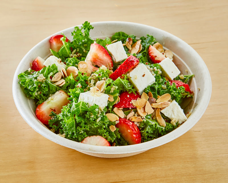 Montagu's Gusto by null