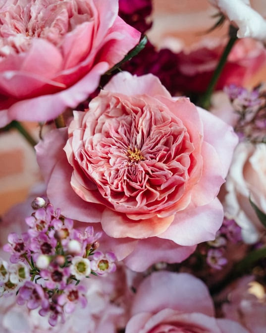 The Flower Ateliers by null