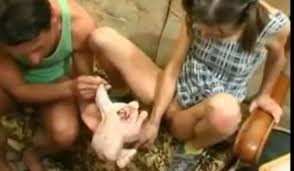 Human fucks chicken videos free porn videos jpg x Fucking chicken