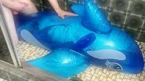 Gorgeous babe fucked horny dolphin xxx jpg x Man fucks dolphin