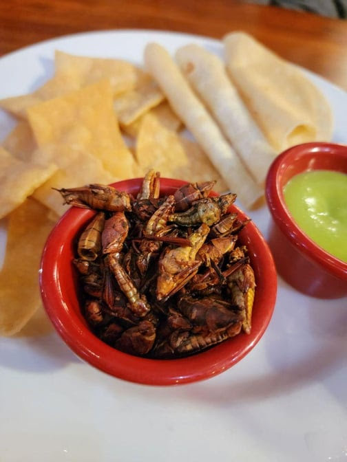 Mezcal Restaurant by null