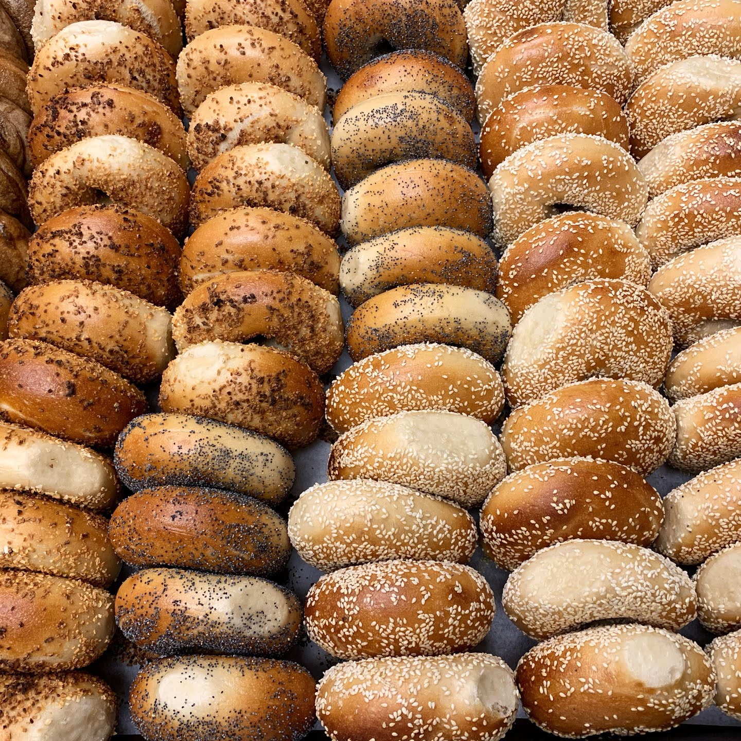 Bart's Bagels - West Philadelphia by null