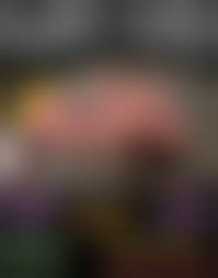 brutal gore sex girl nude|