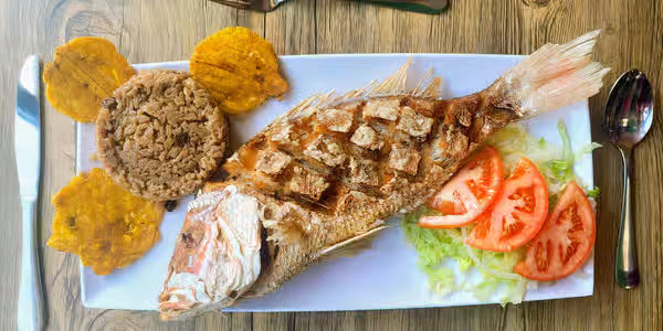 Rosita's TO GO by null