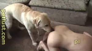 Bride enjoying animated dog cock in various sex positions jpg x Dog sex