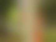 野外露出 deko|jaon072 jaon072 - Tumbex