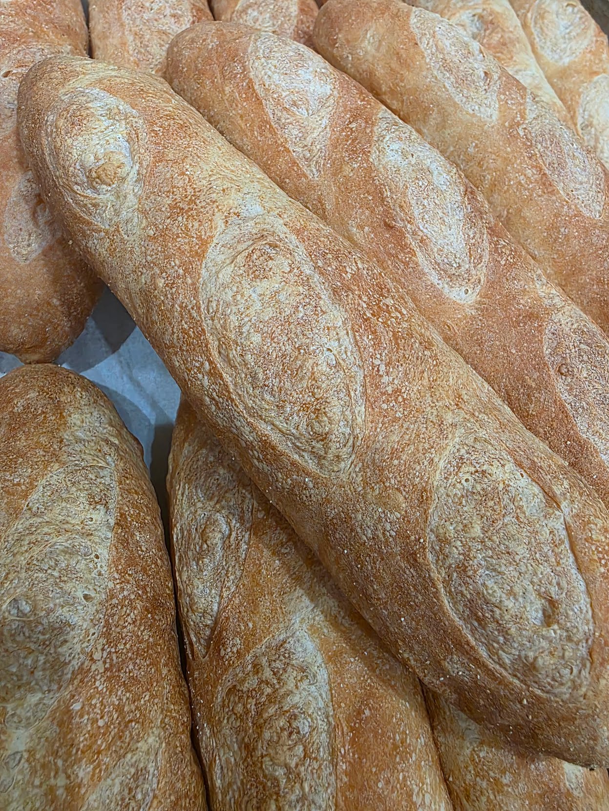 The Spoke & Bird (Pilsen) by null