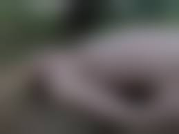 naked girl autopsy 2|Deluxe Autopsy Jessica Body Prop – Dapper Cadaver Props