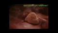 Video for u202bپوزيشن هاي رابطه جنسي واقعيu202c