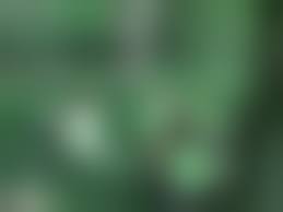 rajce.idnes.pee piss|Rajce.net - czech girls peeing - Page 22 - Amateur Voyeur Forum