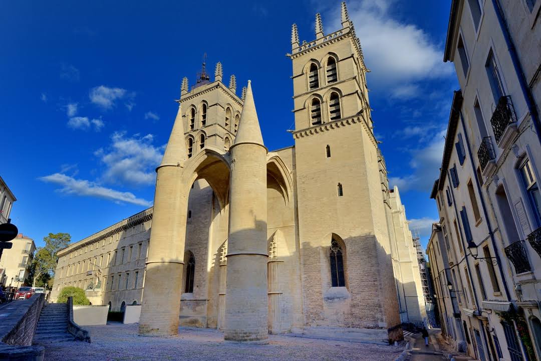 Montpellier Cathedral image