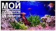 Волшебный мир аквариумов ile ilgili video