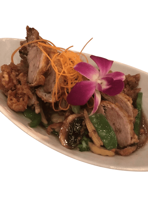Orchid Thai Cuisine by null