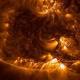 Young Sun Started Life On Earth, Study Reveals 