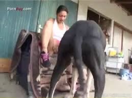 Two girls happily fuck a big dicked dog animal porn blog videos jpg x Big dog fucks girl