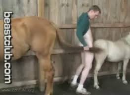 Man fuck horse jpg x Man fuck horse