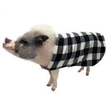 My pig princess hentai game pornplay jpg x Xxx pig
