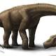 Scientists Unveil Gigantic, Largely Complete Titanosaur Fossil